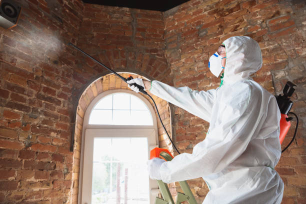 Best Industrial Mold Remediation in Bayside, WI